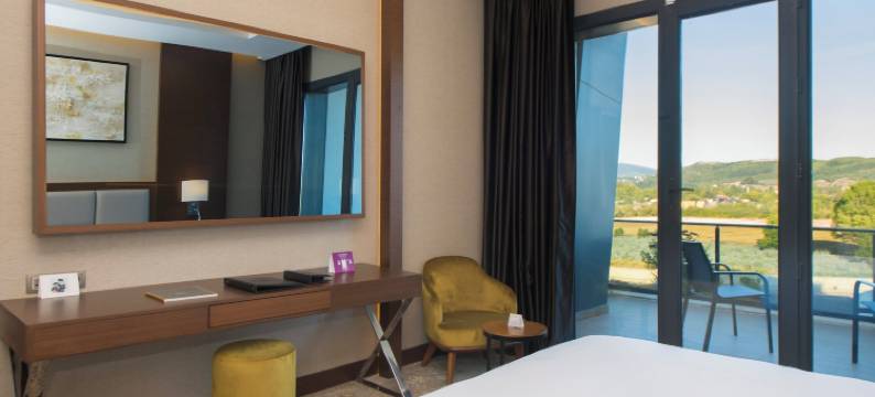 雅洛瓦皇冠假日酒店 IHG(Crowne Plaza YALOVA by IHG)图片