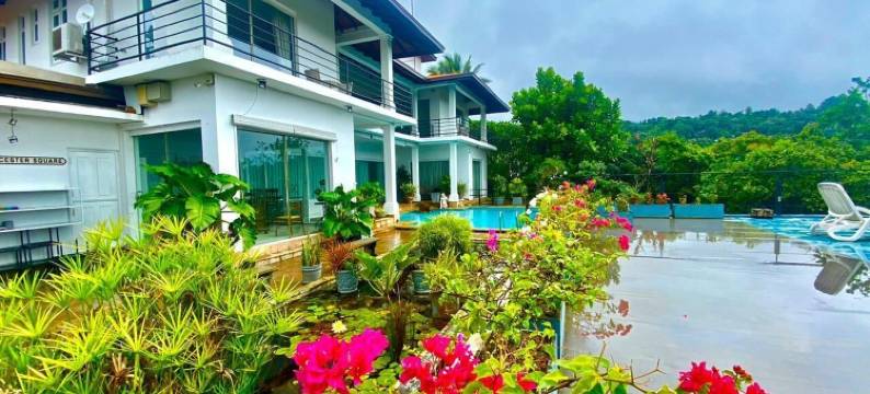 390 维拉维斯塔(390 Villa Vista)图片