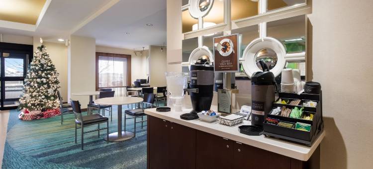 华盛顿匹兹堡万豪SpringHill酒店(SpringHill Suites Pittsburgh Washington)图片
