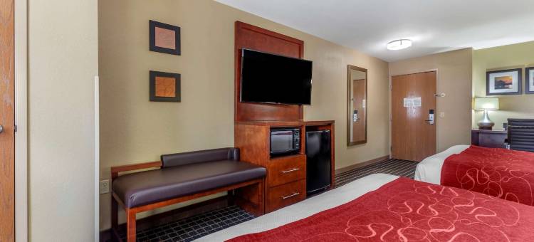 舒适套房酒店-德拉文日内瓦湖区(Comfort Suites Delavan - Lake Geneva Area)图片