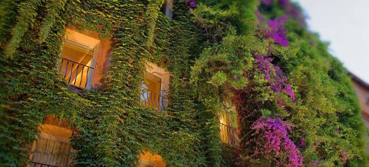 罗莱夏朵拉斐尔生态酒店(Bio Hotel Raphael - Relais & Châteaux)图片