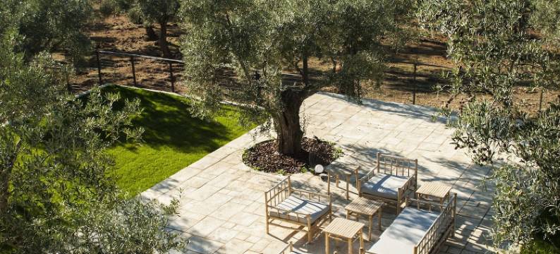 黑鹳生境(Hábitat Cigüeña Negra)图片