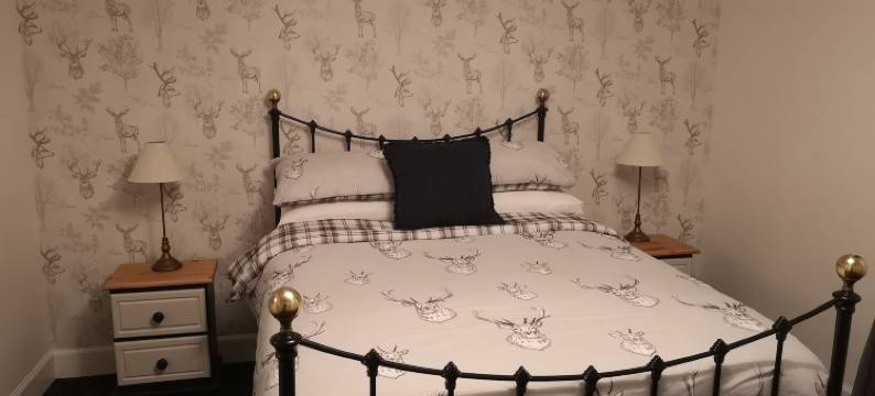 斯特灵，坎布斯肯尼斯的Cambus公寓(The Cambus Flat Cambuskenneth Stirling)图片