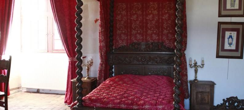 切梅里城堡民宿(Chambres d'hôtes - Chateau de Chemery)图片