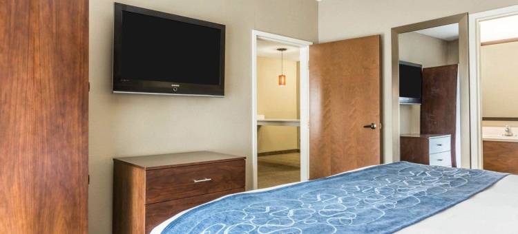 棕榈岛科耐特舒适套房酒店(Comfort Suites at Isle of Palms Connector)图片