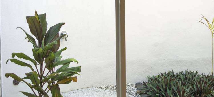 小玻利尼西亚度假酒店(Little Polynesian Resort)图片