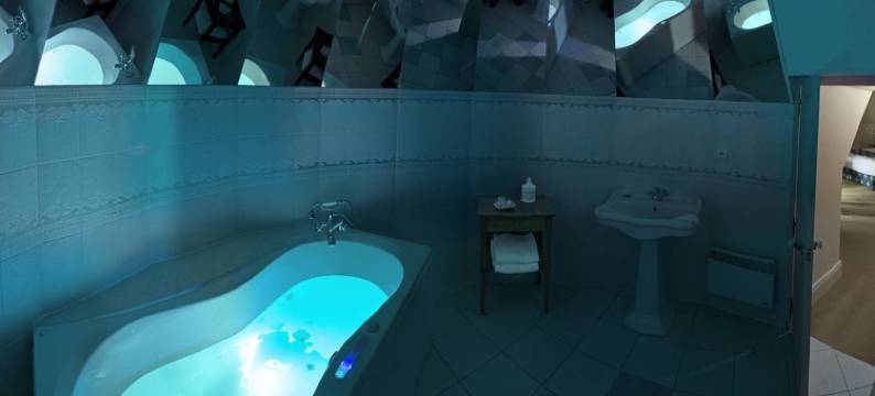 布鲁城堡酒店(Domaine de Brou)图片