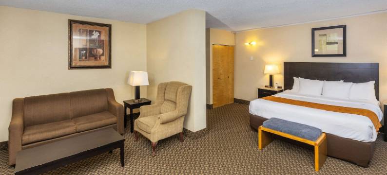 舒适酒店及套房(Comfort Inn & Suites)图片