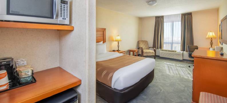 品质酒店套房(Quality Inn & Suites)图片