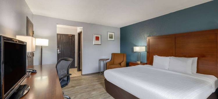 布鲁克林中心Travelodge by Wyndham酒店(Travelodge by Wyndham Brooklyn Center)图片