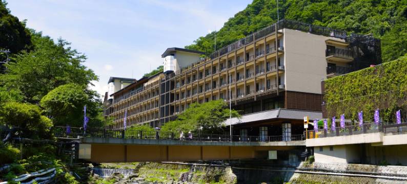 箱根汤本温泉天成园酒店(Tenseien)图片