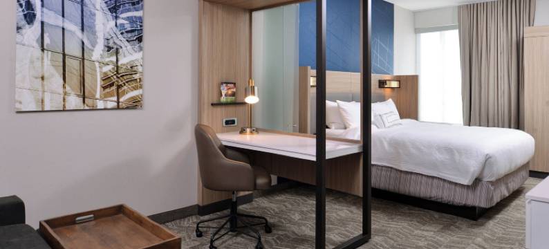 SpringHill Suites Springfield Southwest图片