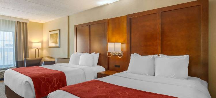 南方公园舒适套房酒店(Comfort Suites Southpark)图片