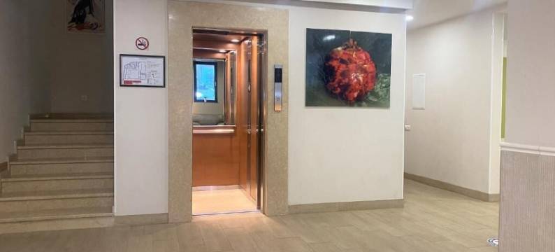 第比利斯加奈特酒店(Hotel Garnet Tbilisi)图片