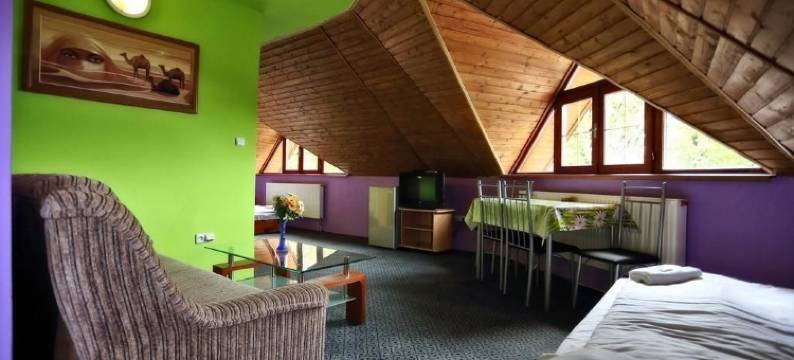 萨托斯科酸橙旅馆(Penzion Šatovské lípy)图片