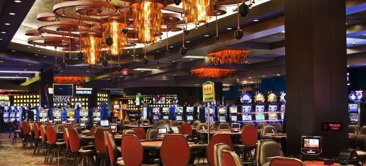 宫殿娱乐场度假村(Palace Casino Resort)图片