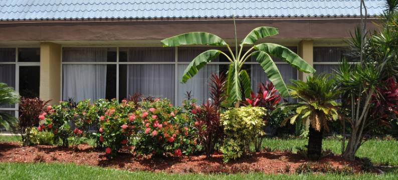 可可华美达酒店(Ramada by Wyndham Cocoa)图片