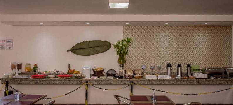 弗内克斯艾拉克酒店(Fenix Hotel Araxá)图片