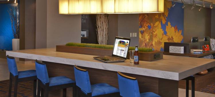 亚特兰大德卢斯/格威内特广场万怡酒店(Courtyard Atlanta Duluth/Gwinnett Place)图片