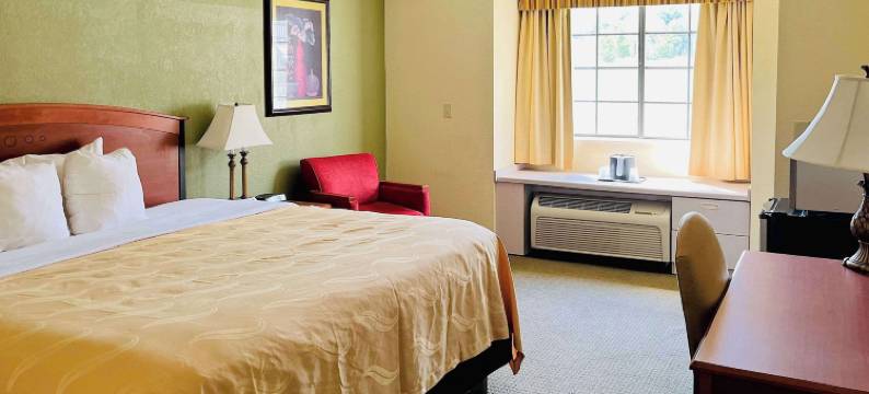 普雷斯顿斯堡品质酒店及套房，靠近山艺术中心(Quality Inn & Suites Prestonsburg Next to Mountain Arts Center)图片