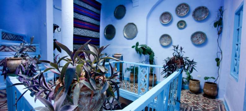 米格尔卡萨酒店(Hotel Casa Miguel)图片