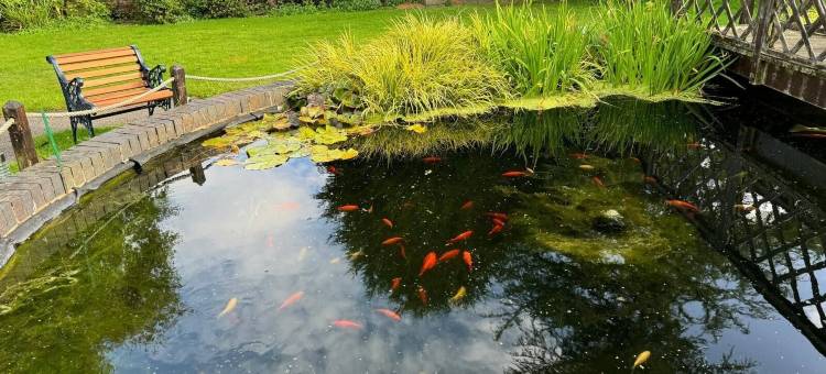 庄园旅馆(The Manor Guest House)图片