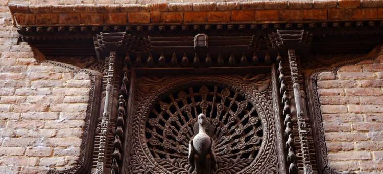 独特旅馆(Unique Guest House)图片