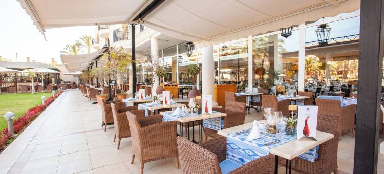 帕尔马海滩格鲁波特尔套房酒店&水疗中心(Grupotel Playa de Palma Suites & Spa)图片