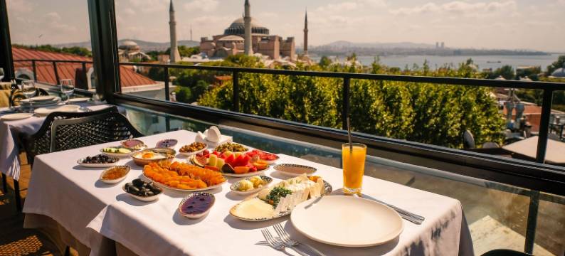 苏拉设计酒店(Sura Design Hotel & Suites Istanbul)图片