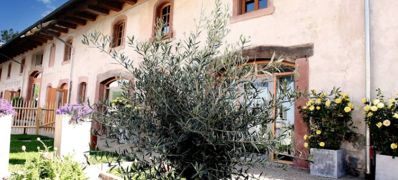 瑞恩豪富熏餐厅酒店(Hotel Rainhof Scheune & Naturpark Restaurant (Kirchzarten))图片