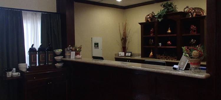 舒适酒店&套房(Comfort Inn & Suites)图片