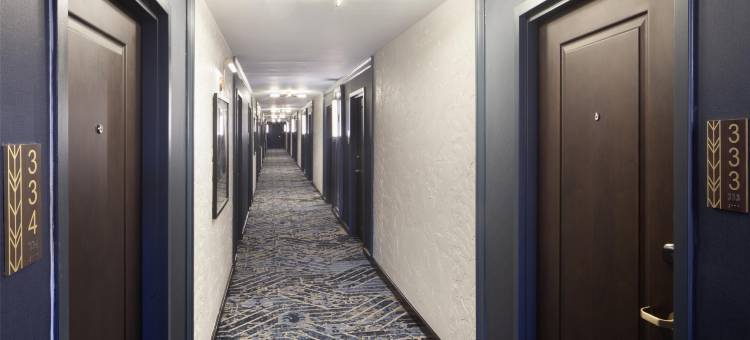 罗伊尔酒店厄巴纳尚佩恩希尔顿塔佩斯特里精选酒店(Hotel Royer Urbana Champaign, Tapestry Collection by Hilton)图片