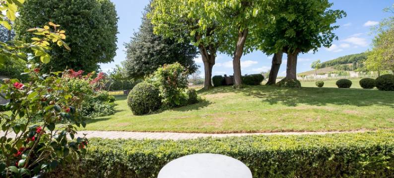 皮卡森别墅(Villa Louise)图片