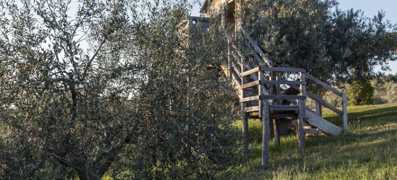 博德勒拉嘎维农庄(Agriturismo Podere l'Agave)图片