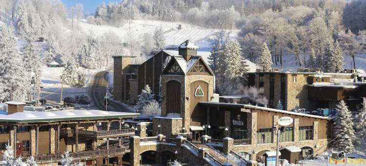 七泉度假村属性(Seven Springs Resort Properties)图片