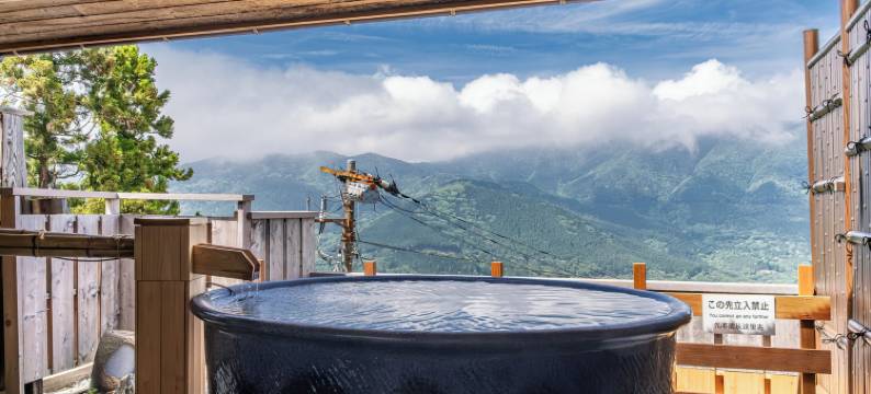 箱根白汤之宿山田家旅馆(Shirayunoyado Yamadaya Hakone Gora)图片
