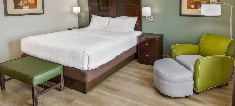 邓肯维尔达拉斯贝斯特韦斯特优质酒店(Best Western Plus Duncanville Dallas)图片