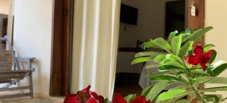 蝴蝶旅馆(Pousada Borboleta)图片