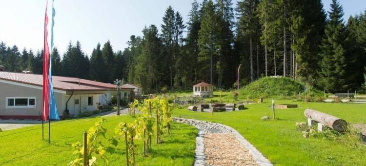 瓦尔德公园之家(Haus am Waldpark)图片