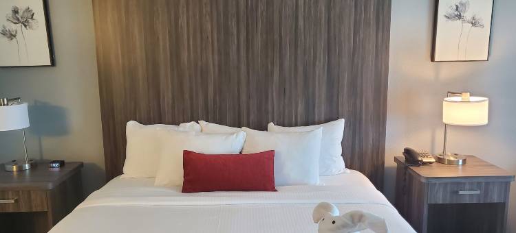 红杉汽车旅馆(Sequoia Inn)图片