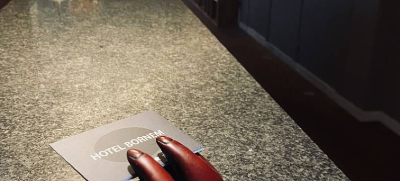 波尔内姆酒店(Hotel Bornem)图片