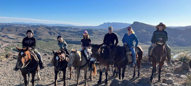 阿尔派恩床和早餐(Alpine Bed and Breakfast)图片