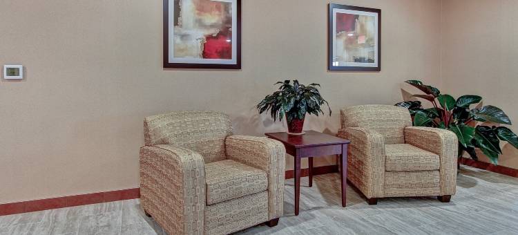 鹅卵石套房酒店 - 普拉斯基/绿湾(Cobblestone Hotel & Suites Pulaski/Green Bay)图片