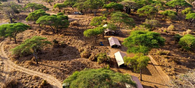 猢狲树帐篷露营酒店(Baobab Tented Camp)图片