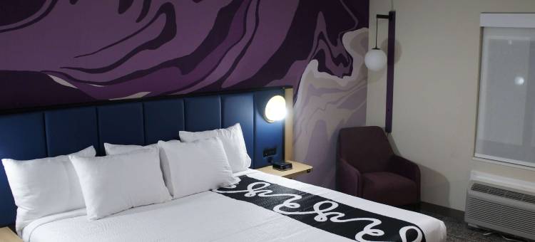 斯普林普莱斯酒店及套房(Spring Place Inn & Suites)图片