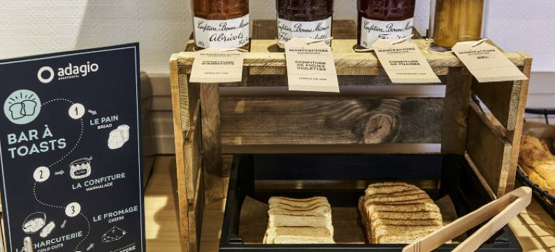 阿德吉奥阿克瑟斯尼斯加里波第公寓酒店(Aparthotel Adagio Access Nice Garibaldi)图片