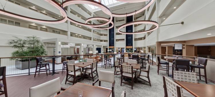 布鲁克菲尔德密尔沃基希尔顿安泊酒店(Embassy Suites by Hilton Milwaukee Brookfield)图片