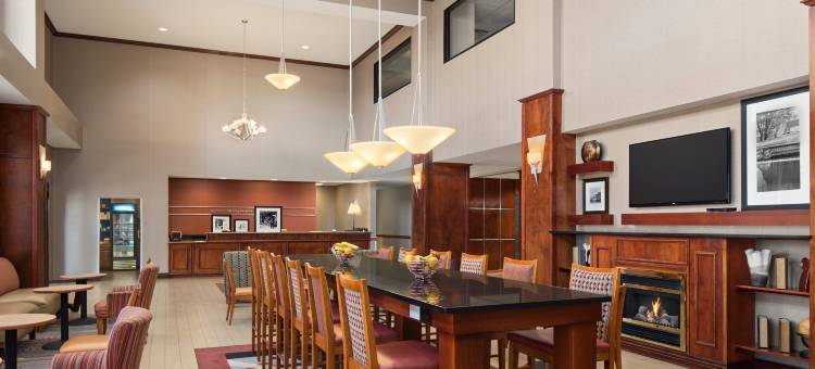 底特律斯特灵海茨欢朋套房酒店(Hampton Inn & Suites Detroit/Sterling Heights)图片