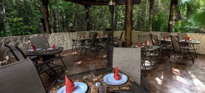 乔丽丛林生态酒店(Jolie Jungle Eco Hotel)图片