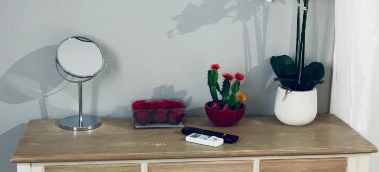 多姆斯雷基亚酒店(Domus Regia)图片